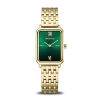 Montre Bering Femme in Acier 17423-738